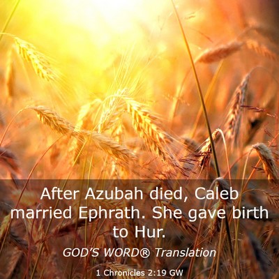 Picture 03 - 1 Chronicles 2:19 GW - After Azubah died, Caleb married Ephrath. She - Bible Verse Picture