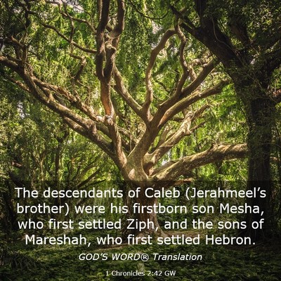 Picture 03 - 1 Chronicles 2:42 GW - The descendants of Caleb (Jerahmeel’s brother) - Bible Verse Picture