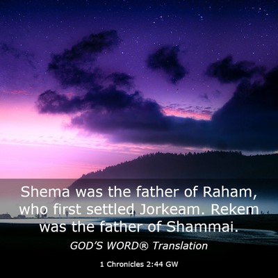 Picture 03 - 1 Chronicles 2:44 GW - Shema was the father of Raham, who first settled - Bible Verse Picture