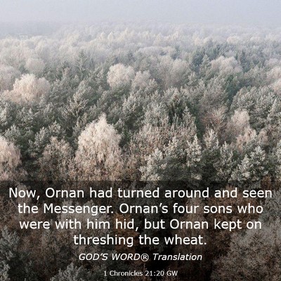 Picture 03 - 1 Chronicles 21:20 GW - Now, Ornan had turned around and seen the - Bible Verse Picture