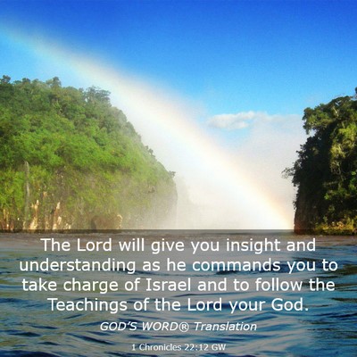 Picture 03 - 1 Chronicles 22:12 GW - The Lord will give you insight and understanding - Bible Verse Picture