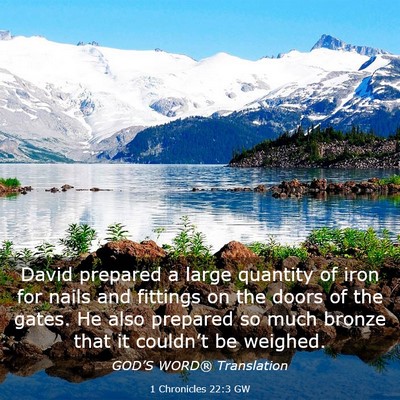 Picture 03 - 1 Chronicles 22:3 GW - David prepared a large quantity of iron for nails - Bible Verse Picture