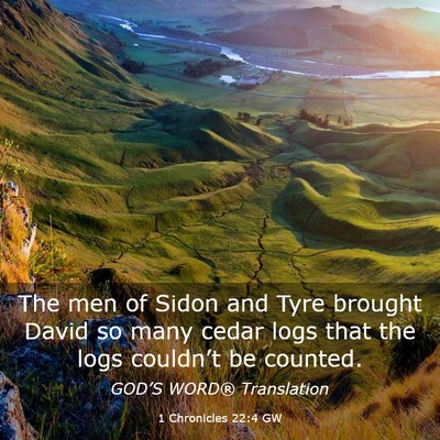 Picture 03 - 1 Chronicles 22:4 GW - The men of Sidon and Tyre brought David so many - Bible Verse Picture