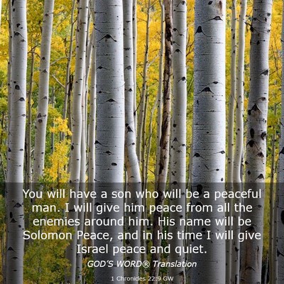 Picture 03 - 1 Chronicles 22:9 GW - You will have a son who will be a peaceful man. I - Bible Verse Picture