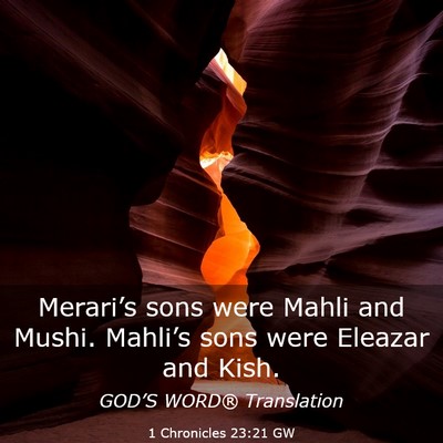 Picture 03 - 1 Chronicles 23:21 GW - Merari’s sons were Mahli and Mushi. Mahli’s - Bible Verse Picture