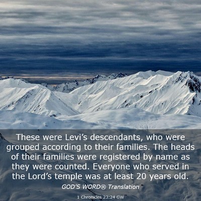 Picture 03 - 1 Chronicles 23:24 GW - These were Levi’s descendants, who were grouped - Bible Verse Picture