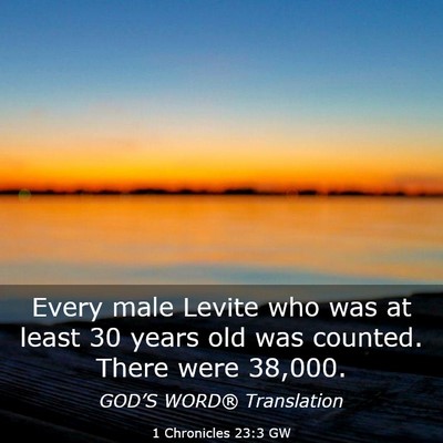 Picture 03 - 1 Chronicles 23:3 GW - Every male Levite who was at least 30 years old - Bible Verse Picture