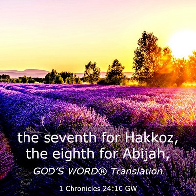 Picture 03 - 1 Chronicles 24:10 GW - the seventh for Hakkoz, the eighth for - Bible Verse Picture
