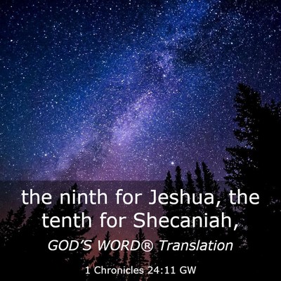 Picture 03 - 1 Chronicles 24:11 GW - the ninth for Jeshua, the tenth for - Bible Verse Picture