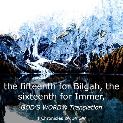 Picture 03 - 1 Chronicles 24:14 GW - the fifteenth for Bilgah, the sixteenth for - Bible Verse Picture