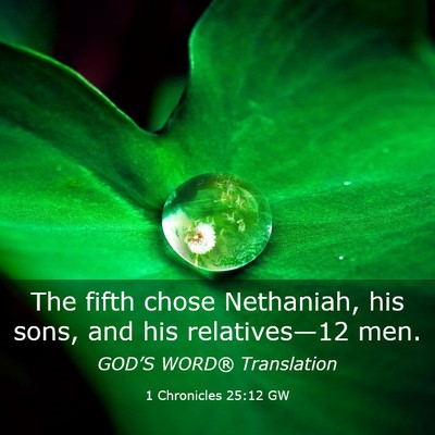 Picture 03 - 1 Chronicles 25:12 GW - The fifth chose Nethaniah, his sons, and his - Bible Verse Picture