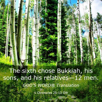 Picture 03 - 1 Chronicles 25:13 GW - The sixth chose Bukkiah, his sons, and his - Bible Verse Picture