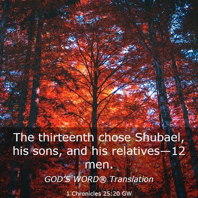 Picture 03 - 1 Chronicles 25:20 GW - The thirteenth chose Shubael, his sons, and his - Bible Verse Picture