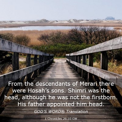 Picture 03 - 1 Chronicles 26:10 GW - From the descendants of Merari there were - Bible Verse Picture