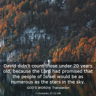 Picture 03 - 1 Chronicles 27:23 GW - David didn’t count those under 20 years old, - Bible Verse Picture