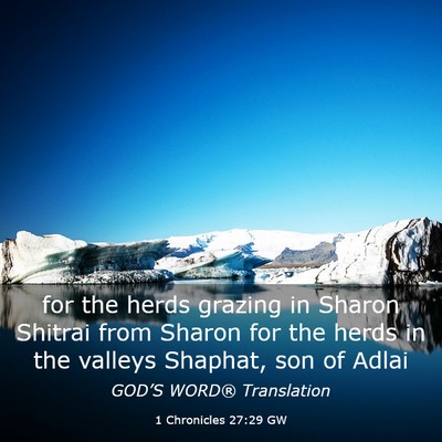 Picture 03 - 1 Chronicles 27:29 GW - for the herds grazing in Sharon Shitrai from - Bible Verse Picture