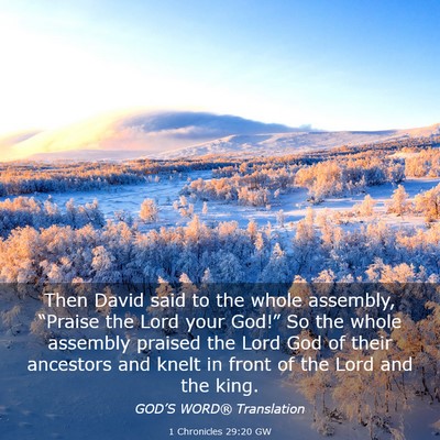 Picture 03 - 1 Chronicles 29:20 GW - Then David said to the whole assembly, “Praise - Bible Verse Picture