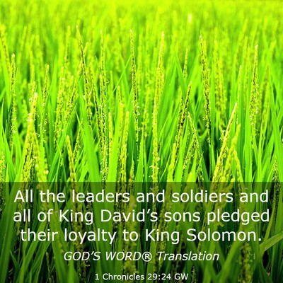Picture 03 - 1 Chronicles 29:24 GW - All the leaders and soldiers and all of King - Bible Verse Picture