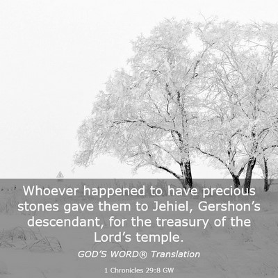 Picture 03 - 1 Chronicles 29:8 GW - Whoever happened to have precious stones gave - Bible Verse Picture