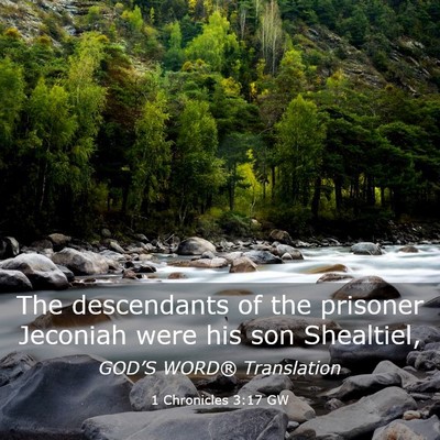 Picture 03 - 1 Chronicles 3:17 GW - The descendants of the prisoner Jeconiah were his - Bible Verse Picture