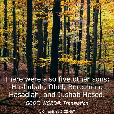 Picture 03 - 1 Chronicles 3:20 GW - There were also five other sons: Hashubah, Ohel, - Bible Verse Picture