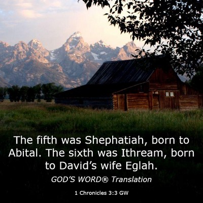Picture 03 - 1 Chronicles 3:3 GW - The fifth was Shephatiah, born to Abital. The - Bible Verse Picture