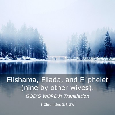 Picture 03 - 1 Chronicles 3:8 GW - Elishama, Eliada, and Eliphelet (nine by other - Bible Verse Picture