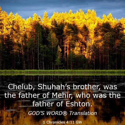 Picture 03 - 1 Chronicles 4:11 GW - Chelub, Shuhah’s brother, was the father of - Bible Verse Picture
