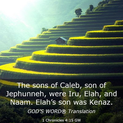 Picture 03 - 1 Chronicles 4:15 GW - The sons of Caleb, son of Jephunneh, were Iru, - Bible Verse Picture