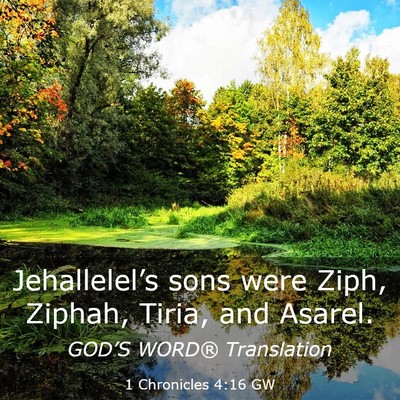 Picture 03 - 1 Chronicles 4:16 GW - Jehallelel’s sons were Ziph, Ziphah, Tiria, and - Bible Verse Picture