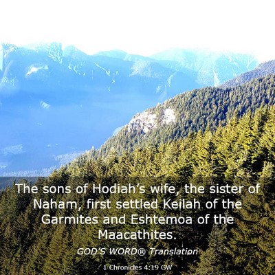 Picture 03 - 1 Chronicles 4:19 GW - The sons of Hodiah’s wife, the sister of Naham, - Bible Verse Picture