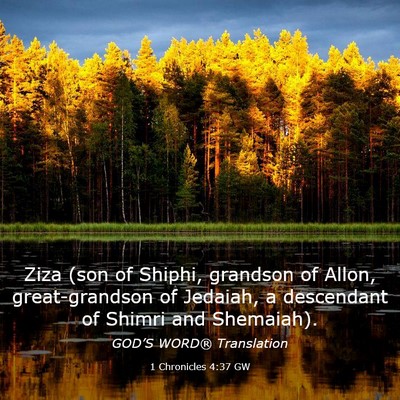Picture 03 - 1 Chronicles 4:37 GW - Ziza (son of Shiphi, grandson of Allon, - Bible Verse Picture