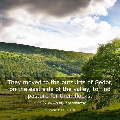 Picture 03 - 1 Chronicles 4:39 GW - They moved to the outskirts of Gedor, on the east - Bible Verse Picture