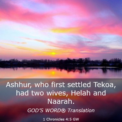Picture 03 - 1 Chronicles 4:5 GW - Ashhur, who first settled Tekoa, had two wives, - Bible Verse Picture