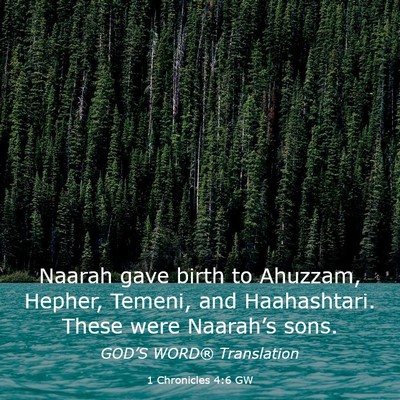 Picture 03 - 1 Chronicles 4:6 GW - Naarah gave birth to Ahuzzam, Hepher, Temeni, and - Bible Verse Picture