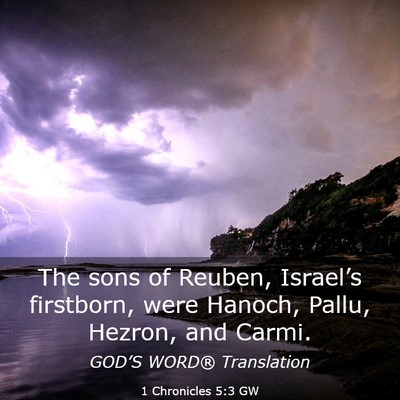 Picture 03 - 1 Chronicles 5:3 GW - The sons of Reuben, Israel’s firstborn, were - Bible Verse Picture