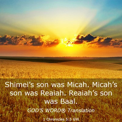 Picture 03 - 1 Chronicles 5:5 GW - Shimei’s son was Micah. Micah’s son was - Bible Verse Picture