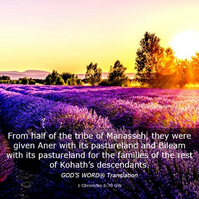 Picture 03 - 1 Chronicles 6:70 GW - From half of the tribe of Manasseh, they were - Bible Verse Picture