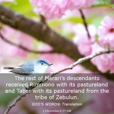 Picture 03 - 1 Chronicles 6:77 GW - The rest of Merari’s descendants received - Bible Verse Picture