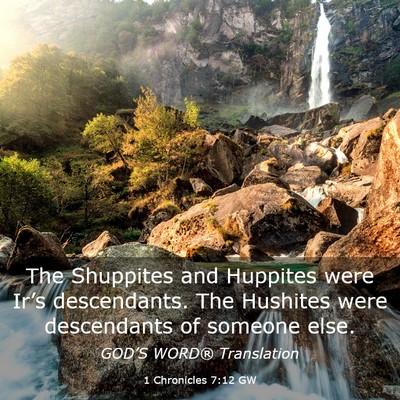 Picture 03 - 1 Chronicles 7:12 GW - The Shuppites and Huppites were Ir’s - Bible Verse Picture