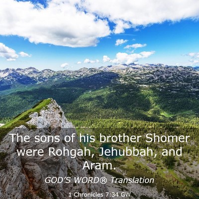 Picture 03 - 1 Chronicles 7:34 GW - The sons of his brother Shomer were Rohgah, - Bible Verse Picture