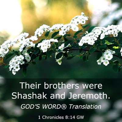 Picture 03 - 1 Chronicles 8:14 GW - Their brothers were Shashak and - Bible Verse Picture