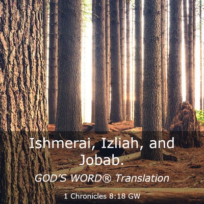 Picture 03 - 1 Chronicles 8:18 GW - Ishmerai, Izliah, and - Bible Verse Picture