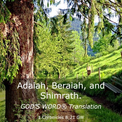 Picture 03 - 1 Chronicles 8:21 GW - Adaiah, Beraiah, and - Bible Verse Picture