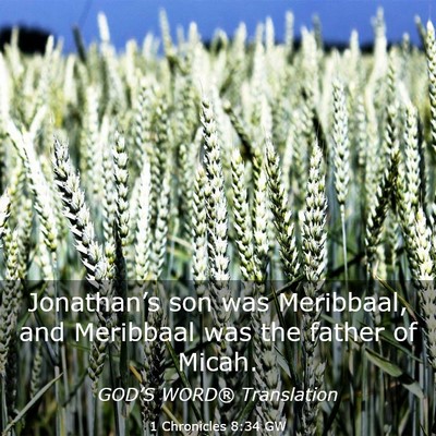 Picture 03 - 1 Chronicles 8:34 GW - Jonathan’s son was Meribbaal, and Meribbaal was - Bible Verse Picture
