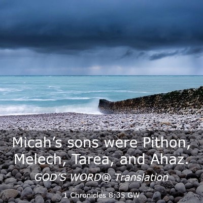 Picture 03 - 1 Chronicles 8:35 GW - Micah’s sons were Pithon, Melech, Tarea, and - Bible Verse Picture