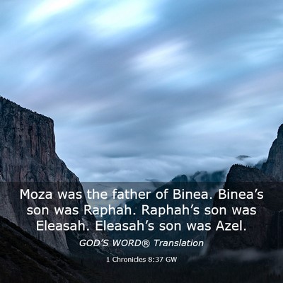 Picture 03 - 1 Chronicles 8:37 GW - Moza was the father of Binea. Binea’s son was - Bible Verse Picture