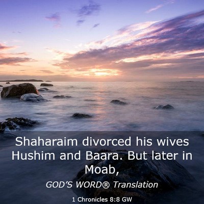 Picture 03 - 1 Chronicles 8:8 GW - Shaharaim divorced his wives Hushim and Baara. - Bible Verse Picture
