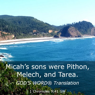 Picture 03 - 1 Chronicles 9:41 GW - Micah’s sons were Pithon, Melech, and - Bible Verse Picture