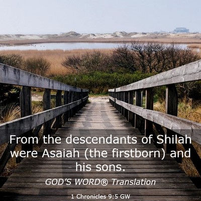 Picture 03 - 1 Chronicles 9:5 GW - From the descendants of Shilah were Asaiah (the - Bible Verse Picture